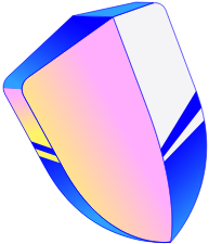 Privacy shield
